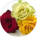 Rajani Shelke profile picture